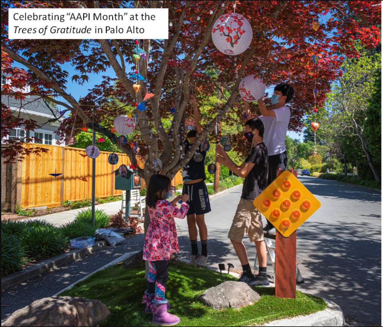 AAPI-Tree